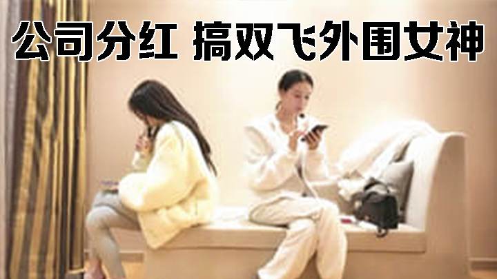 公司分红 搞双飞外围女神，明星脸模特身材