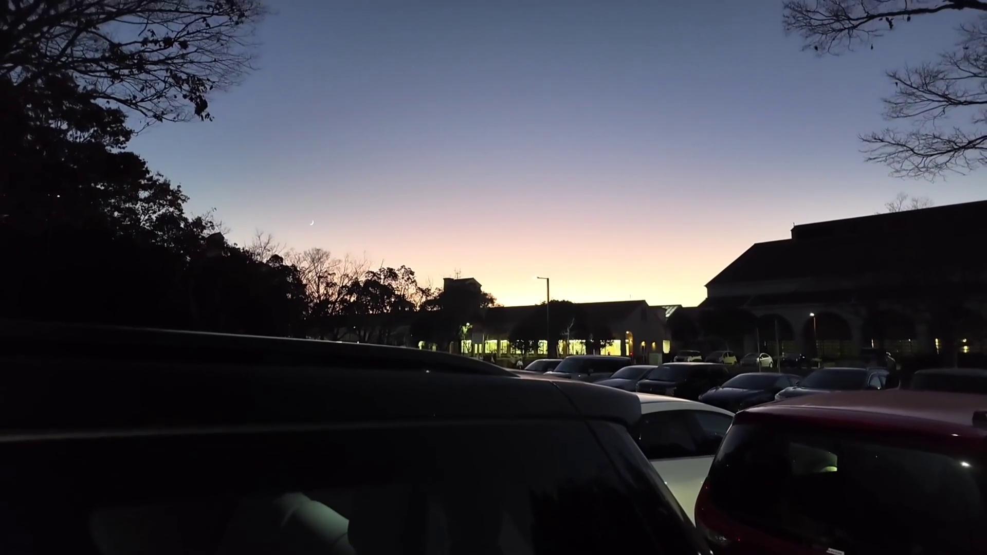 花臂老师/花臂夫夫 20251201 红叶约会