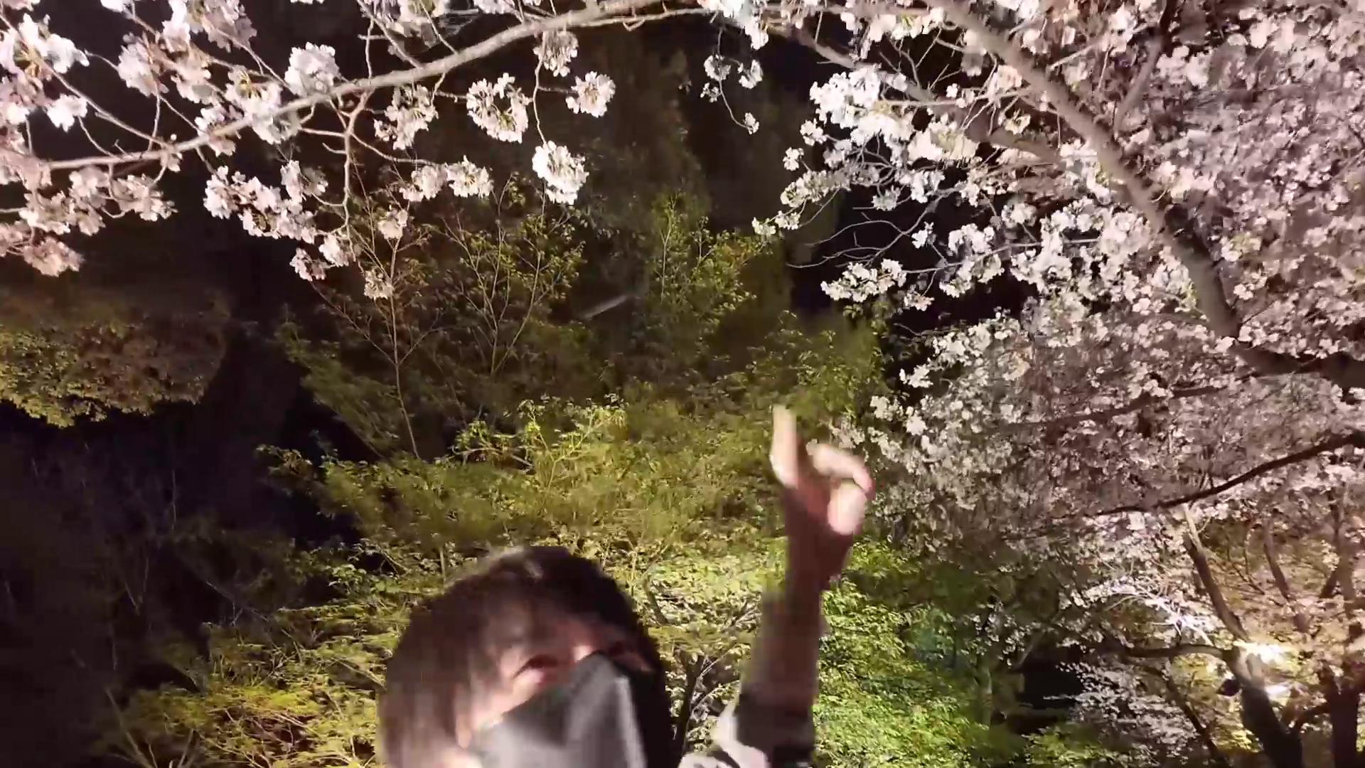 樱花约会后的浪漫夜晚(共2段)