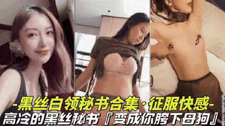 黑丝白领秘书大合集高冷黑丝秘书变成胯下母狗视觉上.的享受