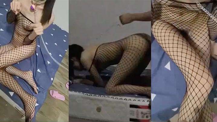 极品小骚货渔网情趣装骚穴抽插.